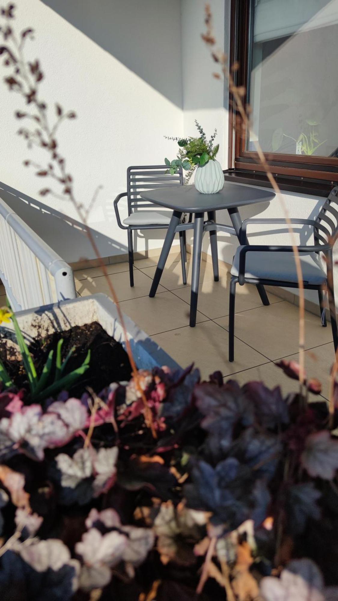 Rooftop In Kehl Bei Strasbourg Zewnętrze zdjęcie